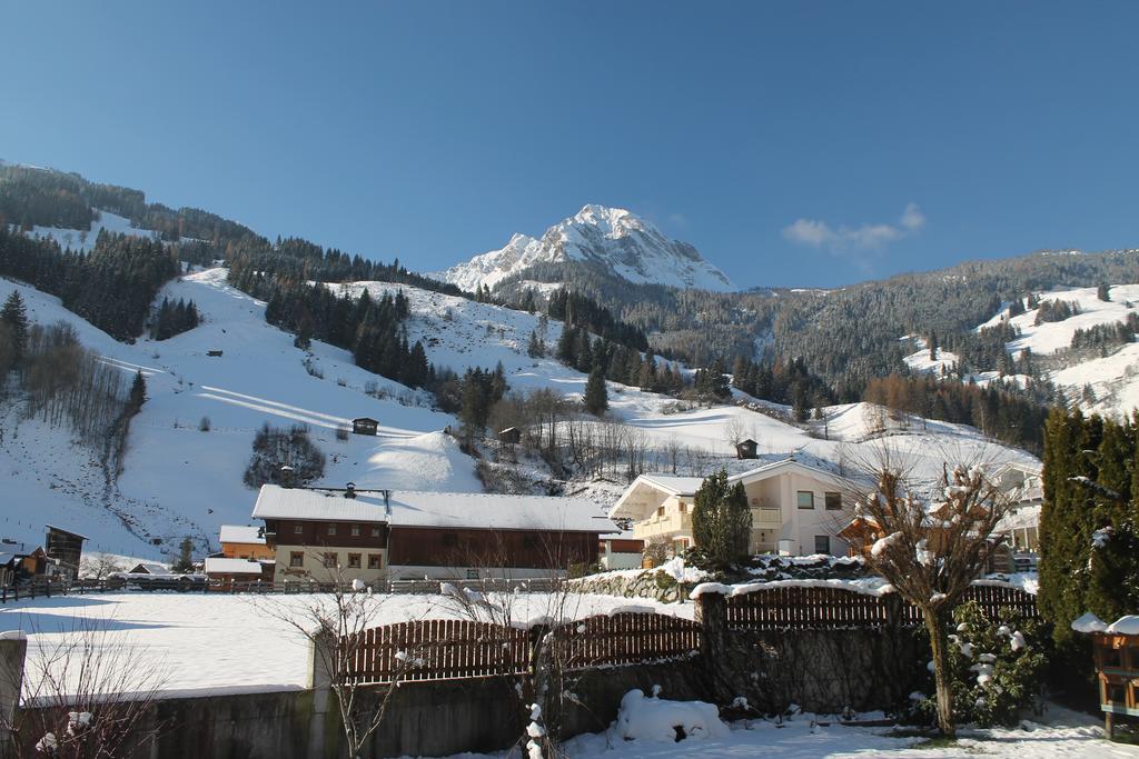 Haus Schoenegger Dorfgastein Luaran gambar
