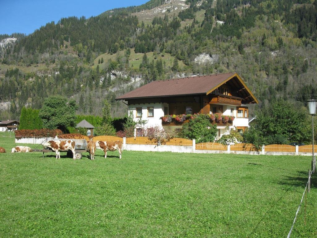 Haus Schoenegger Dorfgastein Luaran gambar